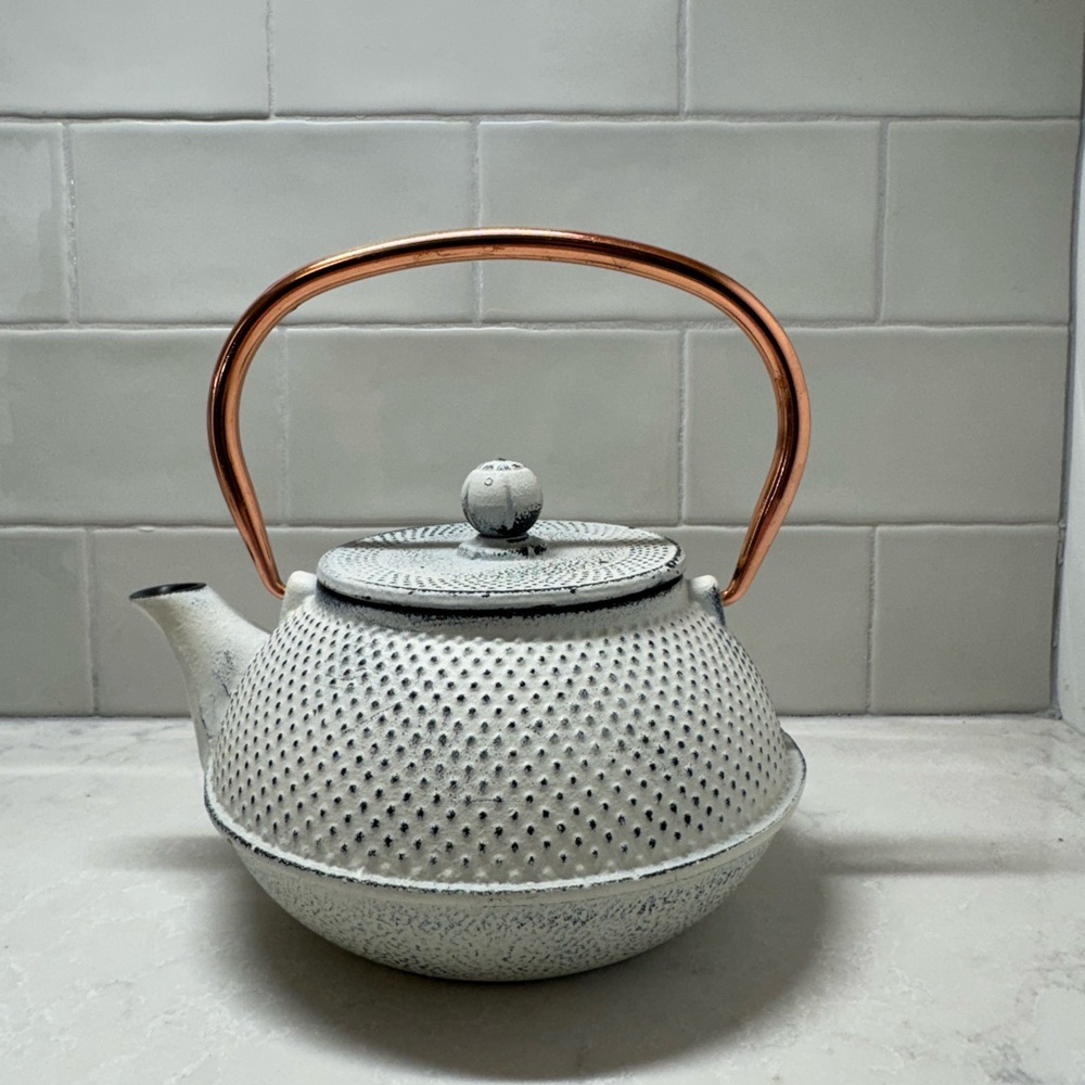 Elegant Japanese White Cast Iron Teapot with Copper Handle